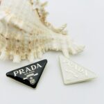 pra brooch 551001085048