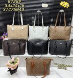 coachh bag 12873542089