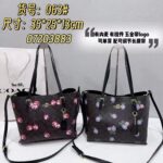 coachh bag - Image 9