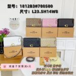 coachh bag 1545181242089 - Image 10