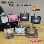 coachh bag - Image 10