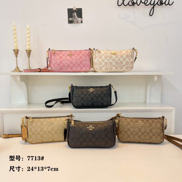 coachh bag 3647859838056