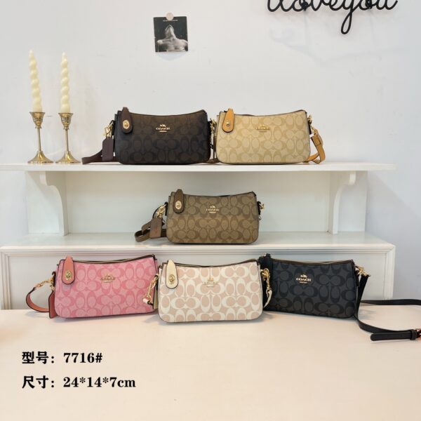 coachh bag 3657481540058