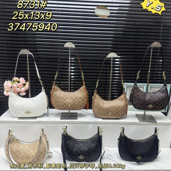 coachh bag 5987412542069