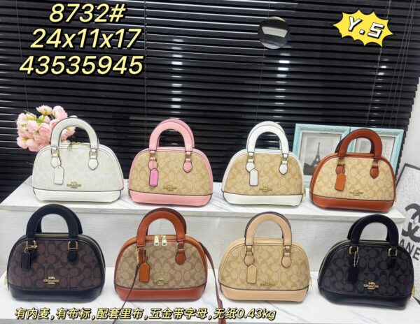 coachh bag 5987412548066