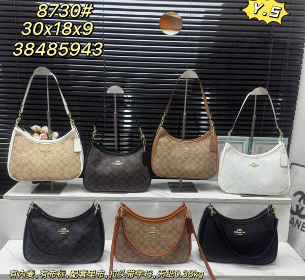 coachh bag 8924756843012