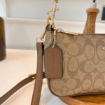 coachh bag 3647859838056 - Image 9