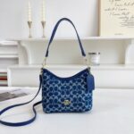 coachh bag - Image 11