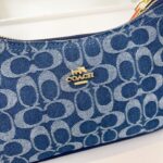 coachh bag - Image 10