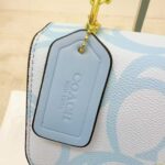 coachh bag 1296358944025 - Image 11