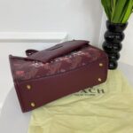 coachh bag - Image 11