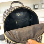 dior bag 1247863949036 - Image 10