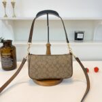 coachh bag 3647859838056 - Image 12