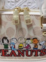 coachh bag - Image 13