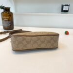 coachh bag 3647859838056 - Image 13