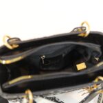 dior bag 5621689546025 - Image 15