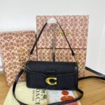 coachh bag - Image 2