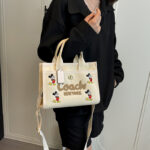 coachh bag - Image 10