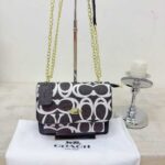 coachh bag 1296358944025 - Image 16