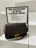 coachh bag 5789314842033 - Image 10