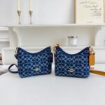 coachh bag - Image 2