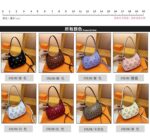 coachh bag - Image 2