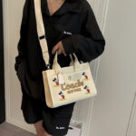 coachh bag - Image 2