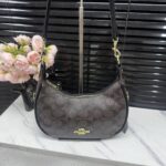 coachh bag 5987412542069 - Image 3