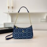 coachh bag - Image 2