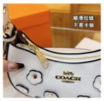coachh bag - Image 3
