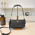 coachh bag 3647859838056 - Image 3