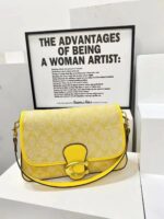 coachh bag 5789314842033 - Image 3