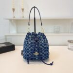 coachh bag - Image 4