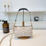 coachh bag 3647859838056 - Image 4