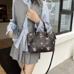 coachh bag - Image 4