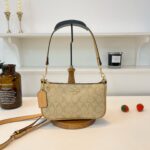 coachh bag 3647859838056 - Image 5