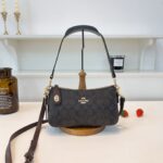 coachh bag 3657481540058 - Image 2