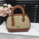 coachh bag 5987412548066 - Image 6