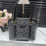 coachh bag 2354786147099 - Image 5