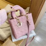 dior bag 5874621540025 - Image 6