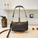 coachh bag 3647859838056 - Image 6