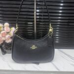 coachh bag 5925478543069 - Image 6