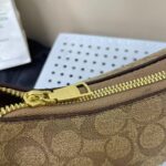 coachh bag - Image 8