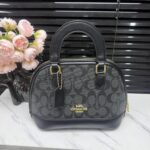 coachh bag 5987412548066 - Image 8