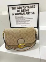 coachh bag 5789314842033 - Image 8