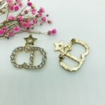 diorr brooch 161000126089 - Image 2