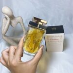 car car perfume 8914523660023 - Image 6