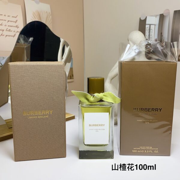 Burberry perfume 8924578670012
