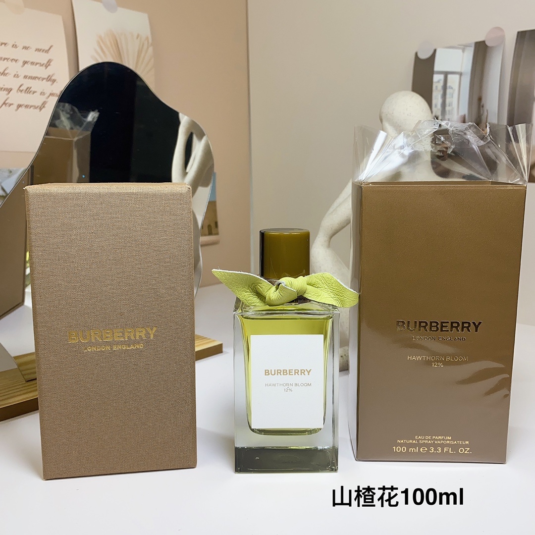 i1685437399_7118_0 Burberry perfume 8924578670012 - Image 1