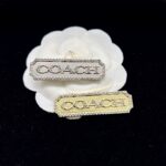 coach brooch 481001275011